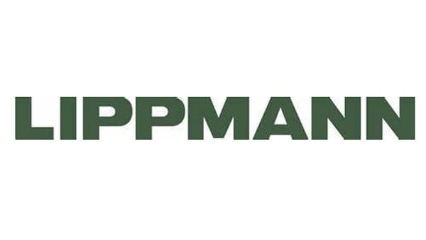 Lippmann appoints new vice president